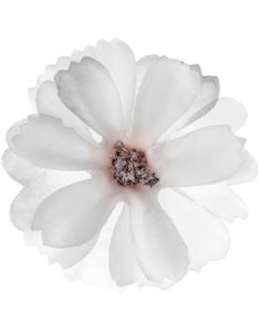 12 stk Kremfargede Dekorasjonsblomster