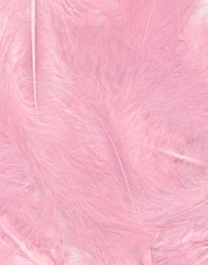 8 gram Lys Rosa Dekorative Fjer 6-12 cm