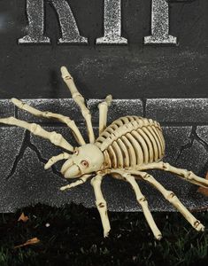 Skeletedderkop til Dekoration 24x16 cm