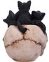 Hovedskal med Søde Katte - 14 cm