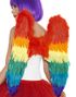 Rainbow Wings - Fjervinger