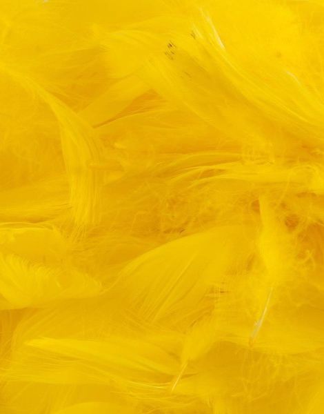 50 gram Gule Dekorative Fjer 6-12 cm