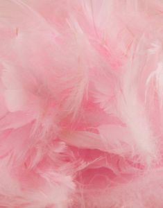 50 gram Lys Pink Dekorative Fjer 6-12 cm