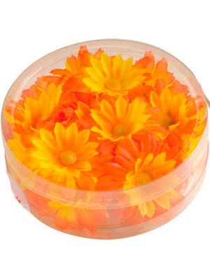 20 Stk Dekorative Tusindfrydblomster - Orange