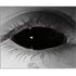 Red Sclera 22 mm Heldækkende Linser