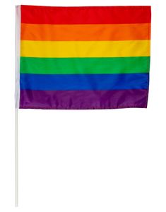 Regnbuefarvet Flag på Pind 42x30 cm