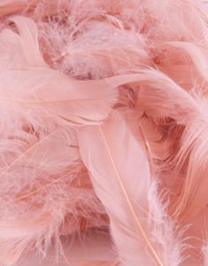 50 gram Dusty Rose Dekorative Fjer 6-12 cm