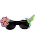 Hibiscus Hawaii-Briller