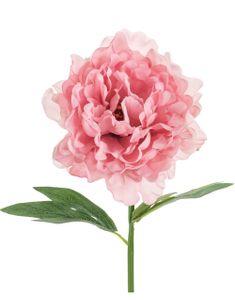 Rosa Pæonblomst 35 cm - Kunstige Blomster