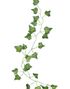 5 stk. Bladranker - Botanisk Bryllup