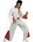 Elvis Kostume 