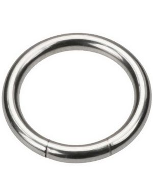 Silver Segment Ring