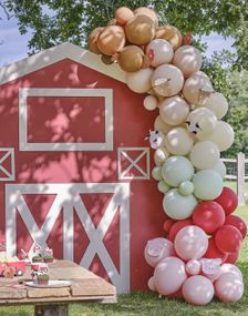 Ballongbuesett i 6 Forskjellig Fargede Ballonger med Gårdstema - Farm Friends