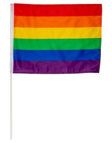 Regnbuefarvet Flag på Pind 42x30 cm