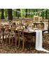 10 stk Hjerteformet Tags i Treverk