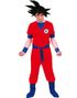 Par kostume - Anime inspireret Dragon Ball kostumer