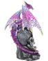 Loyal Defender - Drage og Hodeskallefigur 22,5 cm