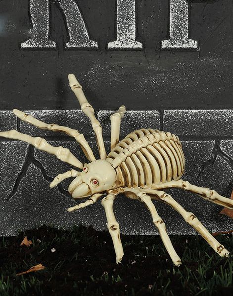 Skeletedderkop til Dekoration 24x16 cm