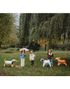 Corgi Hund Folieballong 88x70 cm - Dog Party