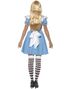 Alice i Eventyrland Kostume