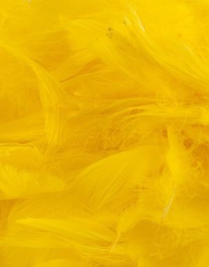 50 gram Gule Dekorative Fjer 6-12 cm