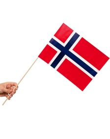 10 stk Norske Papirflagg på Trepinne 20x30 cm
