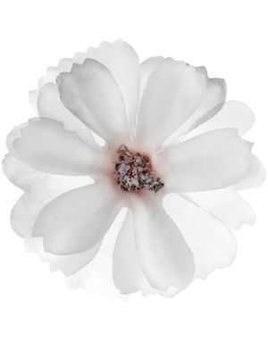 12 stk Kremfargede Dekorasjonsblomster