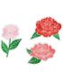 3 stk. Røde og Rosa Blomster Patches