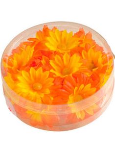 20 Stk Dekorative Tusindfrydblomster - Orange
