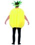 Ananas Unisex Kostume