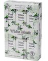 6-Pack Stamford White Musk Aromaolie 60 ml
