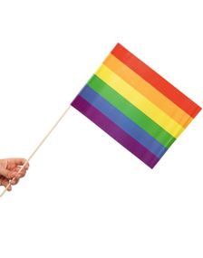 10 stk Regnbue Pride Papirhåndflagg 20x30 cm