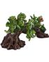 Daring Dragonlings - Hvilende Drageunger på Trestamme Figur 22,7 cm