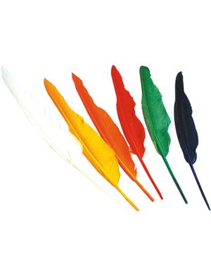 12 stk Lange Indianer Fjer ca 30 cm