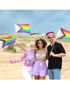 Stort LGBTQ+ Pride Håndflagg 45x30 cm