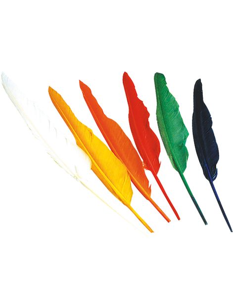 12 stk Lange Indianer Fjer ca 30 cm