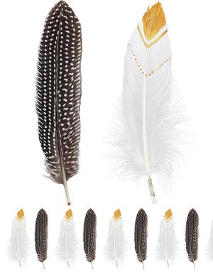 12 stk Brune og Hvide Indianer Fjer