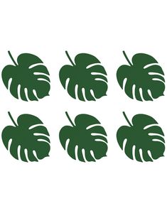 6 stk. Monstera Blade 14 cm - Aloha Tropical