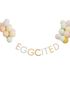 Eggcited Banner og 30 Ballonger Sett