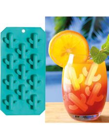 Kaktus Silikon Isbitform