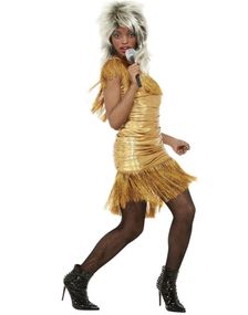 80'er Tina Turner Guldfarvet Kostume