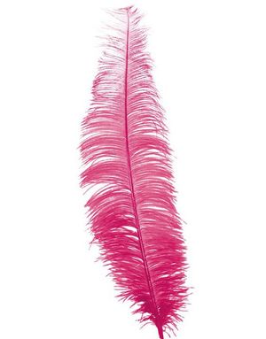 12 Stk. Store Rosa Strutsefjær - 40 cm