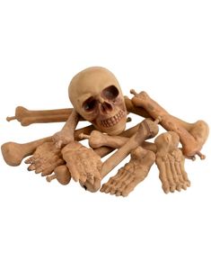 A Bag Of Bones Pynt