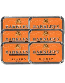 12 stk Barkleys Intense Mints Ginger - Sukkertøy med Smak av Ingefær 600 g - Hel Eske