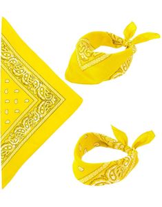 Gul Paisley Bandana