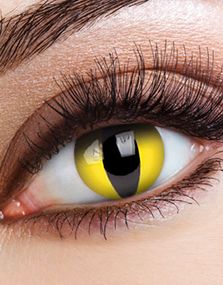 1893283200_6Yellow Cat Crazylinser