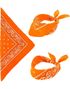 Orange Paisley Bandana