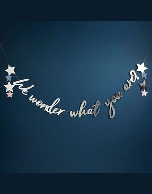 Sølvfarget We wonder what you are? Tekstbanner til Gender Reveal - 2 Meter