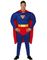 Superman Inspireret Herrekostume 