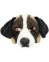 St Bernard Hund Plysjmaske